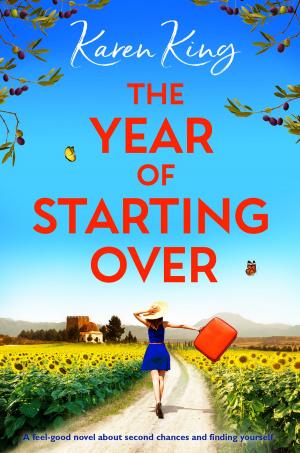 Cover of the book The Year of Starting Over by julie smith