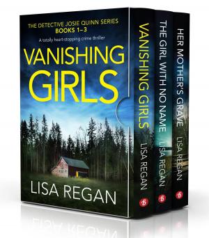 bigCover of the book The Detective Josie Quinn Series: Books 1–3 by 
