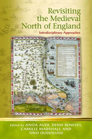 Cover of the book Revisiting the Medieval North of England by David A. Pettersen