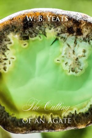 Book cover of The Cutting of an Agate