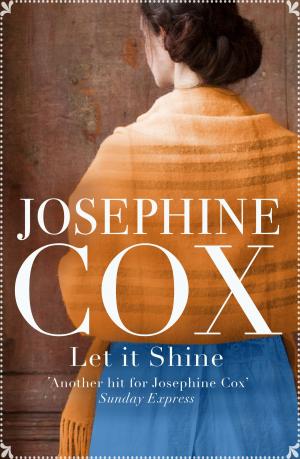 Book cover of Let It Shine