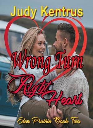 Cover of the book Wrong Turn, Right Heart by Scheibner Kurt