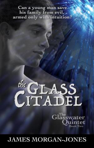 Cover of the book The Glass Citadel by DAVID LAWRENCE