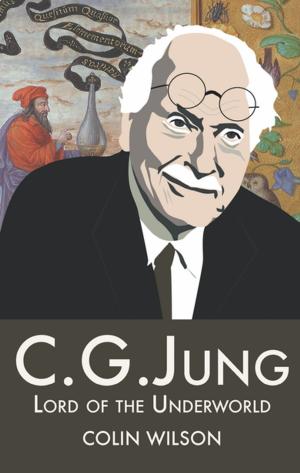Cover of the book C.G.Jung by John Michael Greer