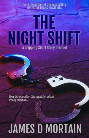 Cover of the book The Night Shift by Nathalie Goldston