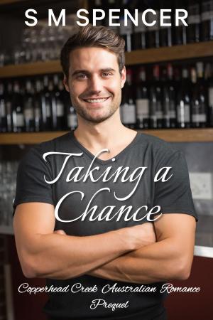 Cover of the book Taking a Chance by Michele Zurlo