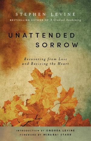 Book cover of Unattended Sorrow