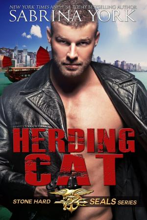 Cover of the book Herding Cat by Sabrina York