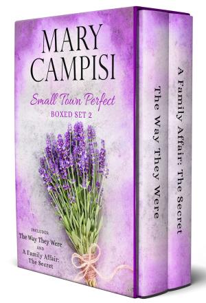Cover of the book Small Town Perfect Boxed Set 2 by Merri Maywether