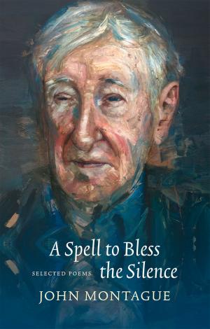 Book cover of A Spell to Bless the Silence