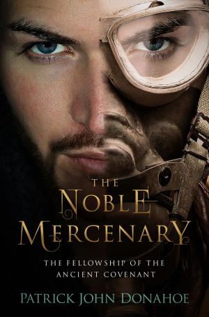Book cover of The Noble Mercenary