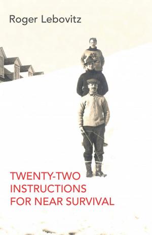 Book cover of Twenty-Two Instructions for Near Survival