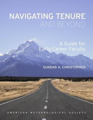 bigCover of the book Navigating Tenure and Beyond by 