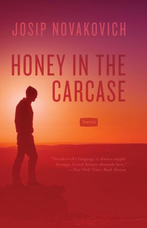 Cover of the book Honey in the Carcase by David Jauss
