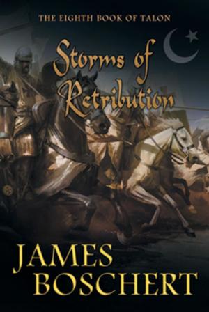 Cover of the book Storms of Retribution by Dave Hoing and Roger Hileman