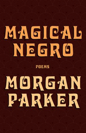 Cover of the book Magical Negro by Veronique Olmi