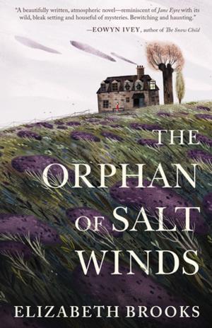 Cover of The Orphan of Salt Winds