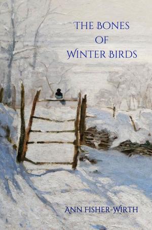 Cover of the book The Bones of Winter Birds by Michelle Menting