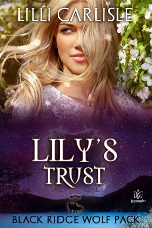 Cover of the book Lily's Trust by Emily Mims
