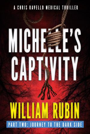 Cover of the book Michelle's Captivity Part Two: Journey To The Dark Side by Melissa McClone