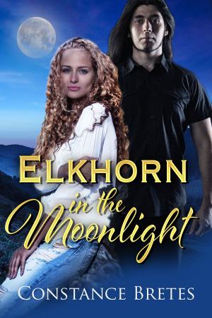 Cover of the book Elkhorn in the Moonlight by Lacey Wolfe