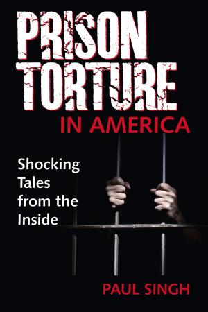 Cover of the book The Prison Torture in America by James O’Mahony