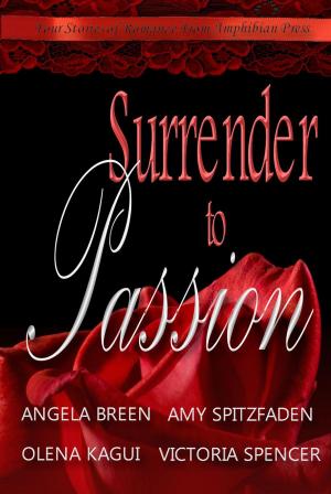 Book cover of Surrender to Passion