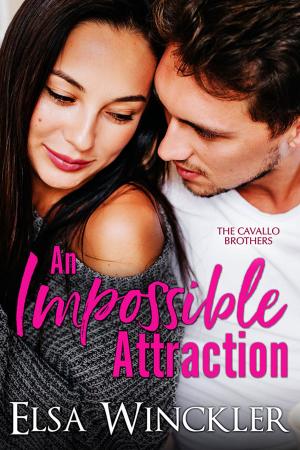 Cover of the book An Impossible Attraction by Debra Salonen