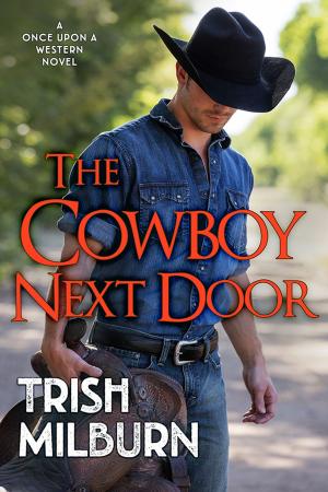 Cover of the book The Cowboy Next Door by Lara Van Hulzen
