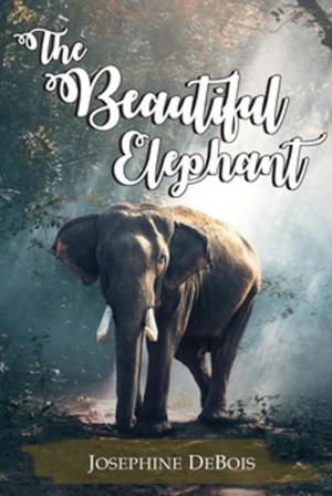 Cover of The Beautiful Elephant