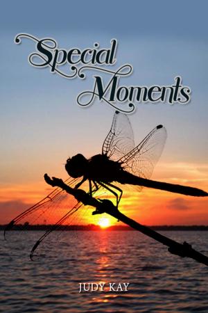 Cover of the book Special Moments by Apostle Hans Blunk