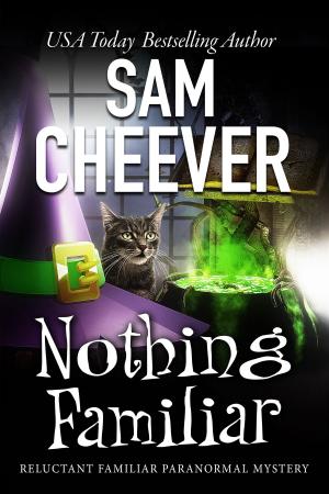 Cover of the book Nothing Familiar by Sam Cheever