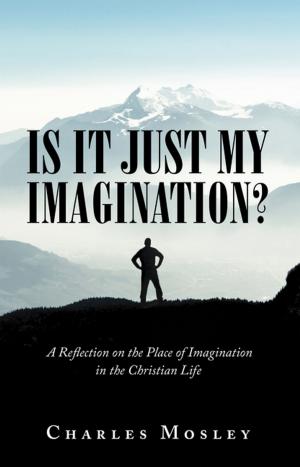 Cover of the book Is It Just My Imagination? by Todd Galberth