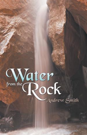 Cover of the book Water from the Rock by Jennetta Harris