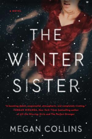 Cover of the book The Winter Sister by Titania Hardie