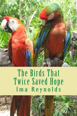 Cover of the book The Birds That Twice Saved Hope by 張雪鋒