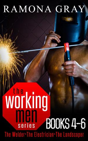 Cover of the book Working Men Series Books Four to Six by Sasha Vogue