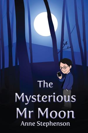Cover of The Mysterious Mr. Moon