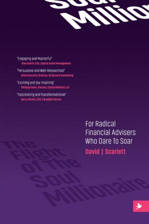 Cover of the book The Flight of The Soul Millionaire: For Radical Financial Advisers Who Dare to Soar by Arianna Huffington