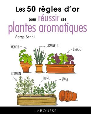 Cover of the book 50 règles d'or pour réussir ses aromatiques by Elisabeth Marrou