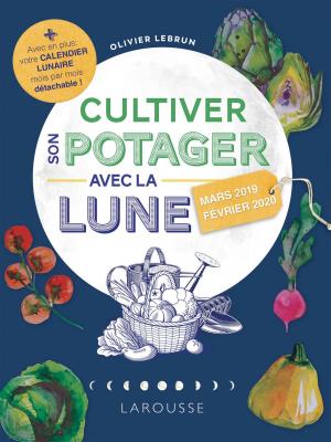 Cover of the book Cultiver son potager avec la Lune 2019 by Collectif
