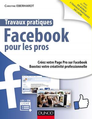 Cover of the book Travaux pratiques Facebook pour les pros by Guillaume-Nicolas Meyer, David Pauly