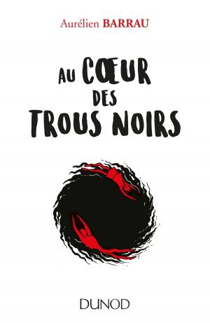 Cover of the book Au coeur des trous noirs by Pierre Mongin, Luis Garcia