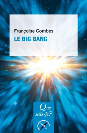 Cover of the book Le Big Bang by Stella Baruk