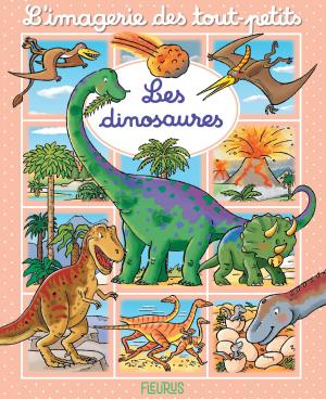 Cover of the book Les dinosaures by Nathalie Bélineau, Émilie Beaumont