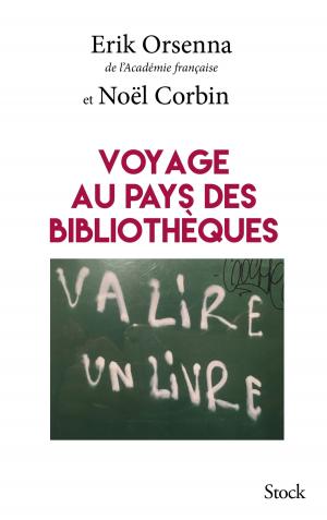 Cover of the book Voyage au pays des bibliothèques by Line Papin