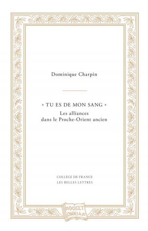 Cover of the book « Tu es de mon sang » by Damien Chaussende