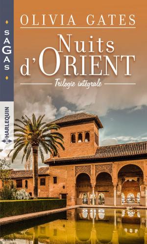 Cover of the book Nuits d'Orient by Connie Davé