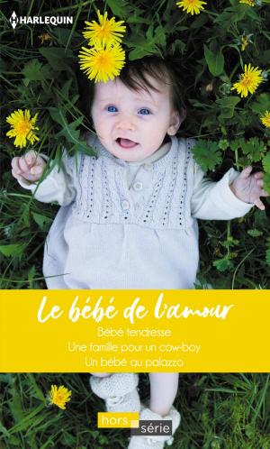Cover of the book Le bébé de l'amour by RaeAnne Thayne, Brenda Harlen, Stella Bagwell