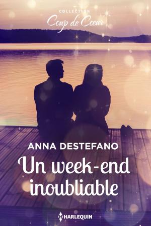 Cover of the book Un week-end inoubliable by Annie West
